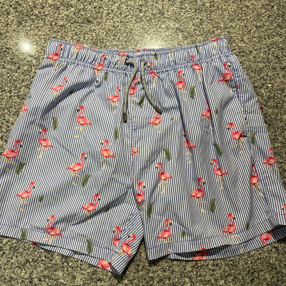 Men's Blue Flamingo Swim Shorts